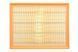 Фільтр повітряний Citroen Berlingo/C3-C5/Jumpy/Fiat Doblo/Scudo/Peugeot 208/308/508 1.5BlueHDi 18- (Alpha AF1970) AF1970 фото